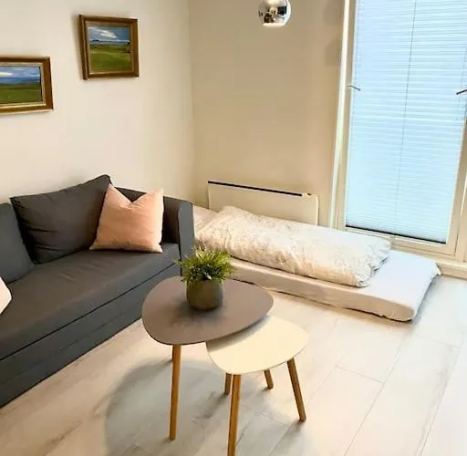 Daire Koselig Og Sentralt Midt I Fargegaten